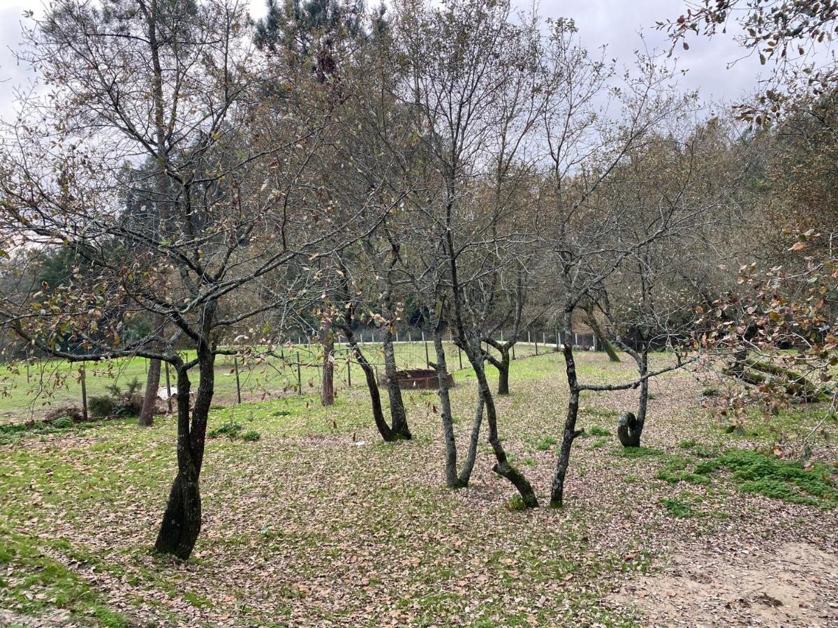 Quinas Playground Villa Souto da Carpalhosa Bagian luar foto
